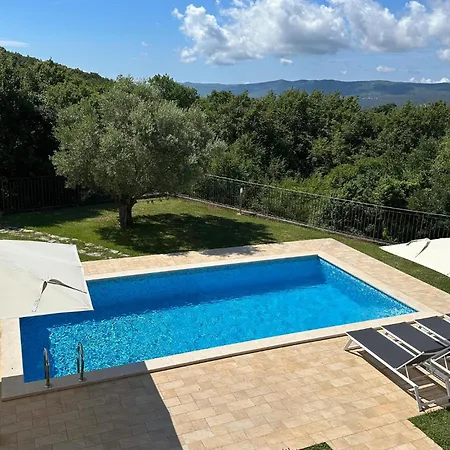 Vicani 2 *